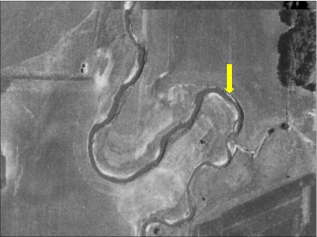 An oxbow restoration site in the 1950's when it was still connected to White Fox Creek.
