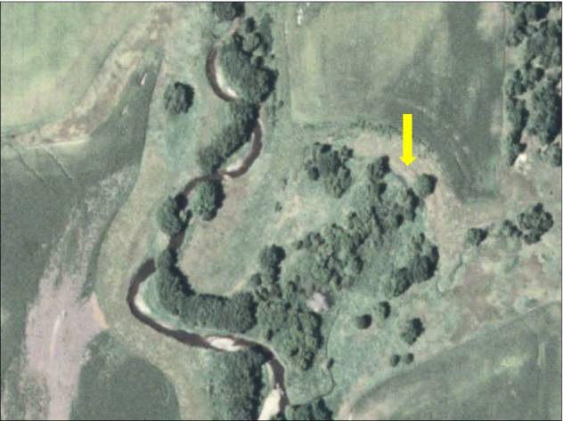 The same oxbow restoration site prior to restoration. Site is not longer connected to creek and has completely filled in with sediment over the years.